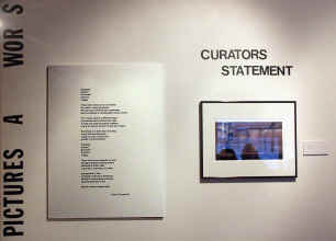 MTS Gallery Words and Pictures Curator's Statement