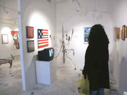 herlinger ted Supreme Majority flag, Susan Joy Share Prestige sculpture in corner. Gordon Terpening video Loose Feet