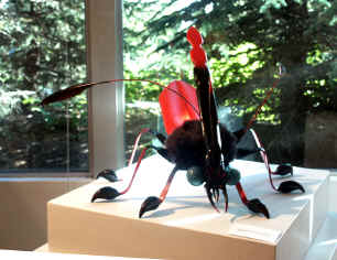 Bill Noe Arsonamus Pestumis Mecoptera