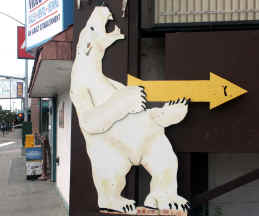 Donald R Ricker polar bear