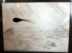 Diane Tillion Cephlopod Shadow