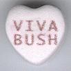 VIVA BUSH